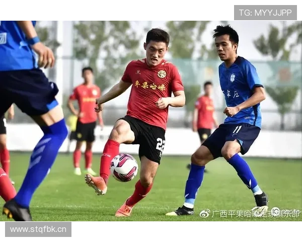 中甲宁波队主帅杨林辞职 转任技术总监 中甲宁波队主帅杨林辞职 转任技术总监