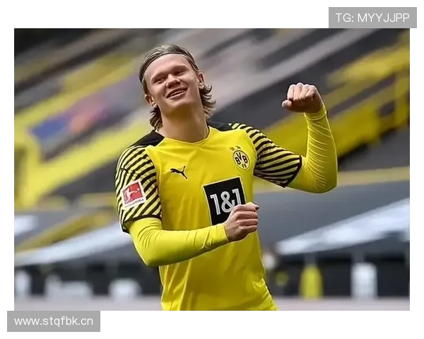 佩莱格里诺梦想国家队哈兰德典型九号